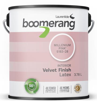 Paint, Interior, Latex, Boomerang, MILLENIUM PINK, Velvet Finish, 3.78 liter