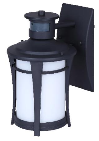 Light Fixture, Outdoor, Motion Sensing, BLACK w/Frosted Glass, Canarm CASPER
