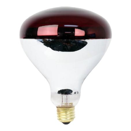 Heat Lamp Bulb, Incandescent Reflector, 250 Watt, R40, Medium Base, 1/pkg Feit