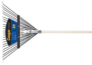 Fan Rake, 24