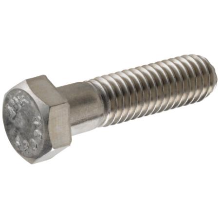 Hex Cap Screw, Stainless Steel, 5/16