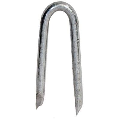 Fence Staples, 7/8