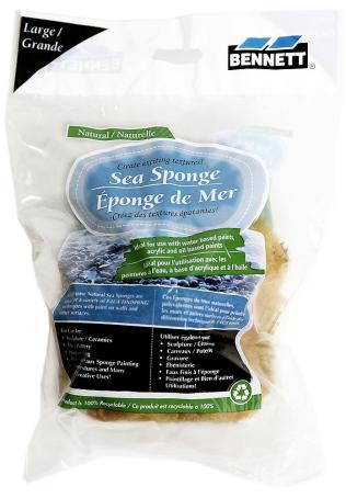 Sponge, Natural Sea, Large