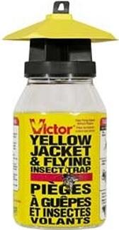 Wasp/Yellow Jacket Trap, with Jar, Victor #M362